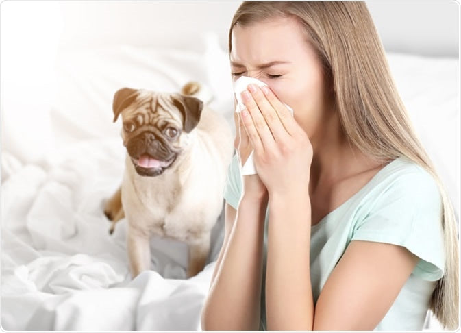 ¿Tienes mascotas y no sabes elegir un purificador de aire que te funcione?